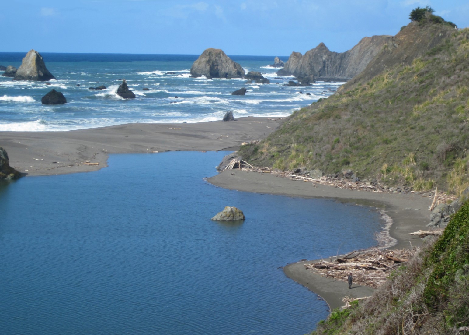 Jenner Beach, Jenner, CA California Beaches