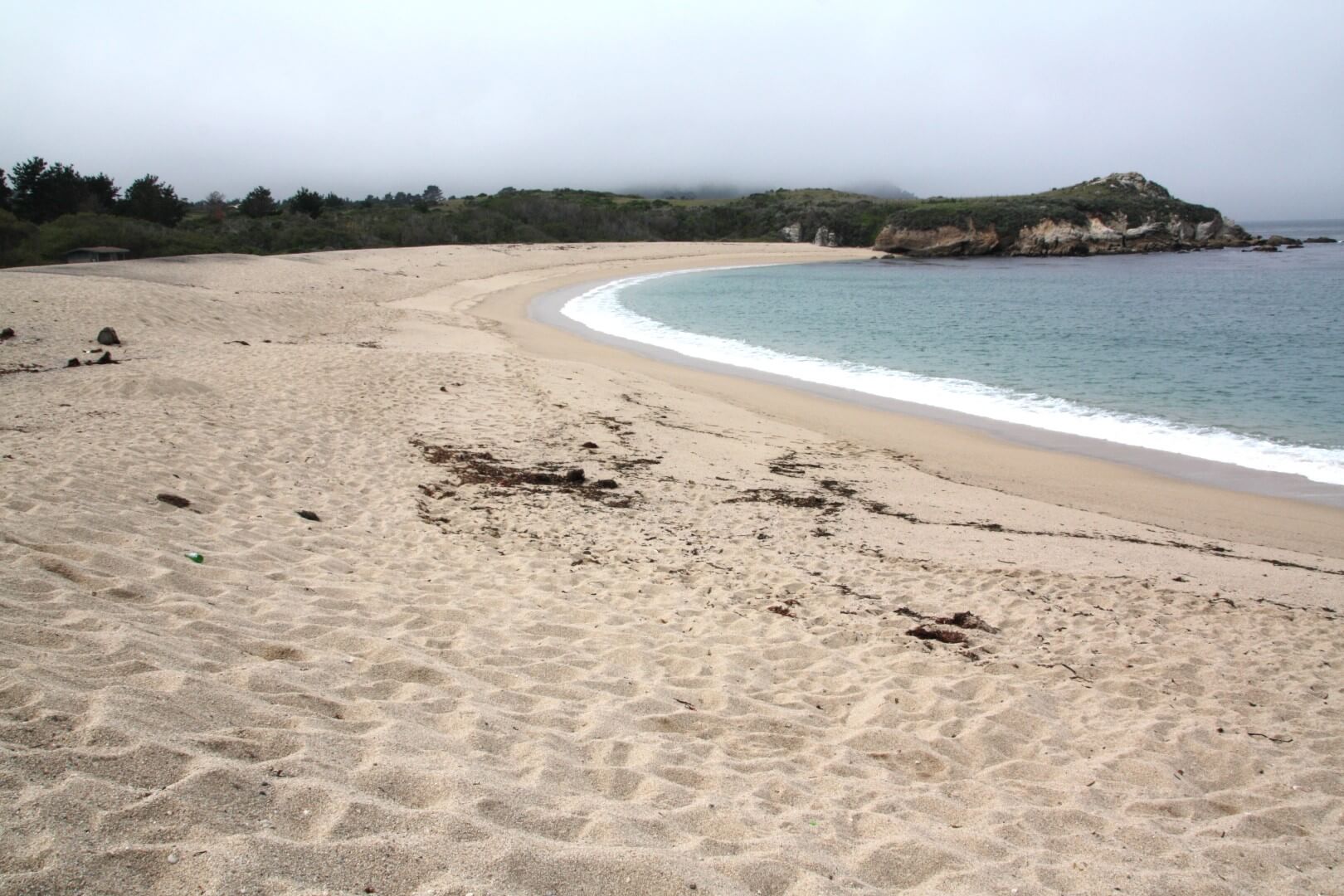Monastery Beach, Carmel, CA California Beaches