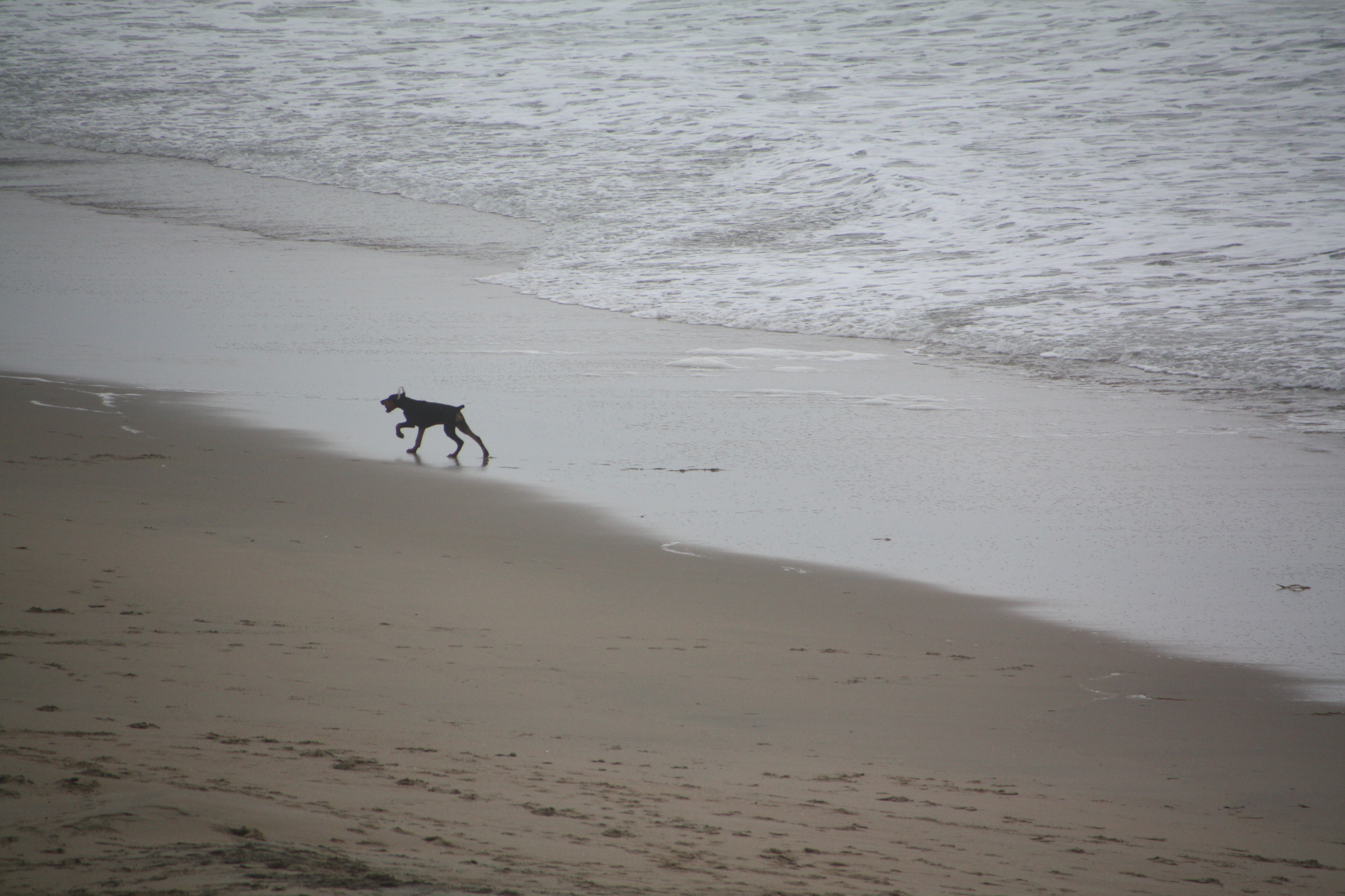 Huntington Beach Tide Chart Images