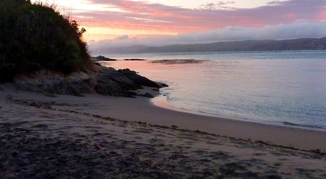 Elk Fence North Beach