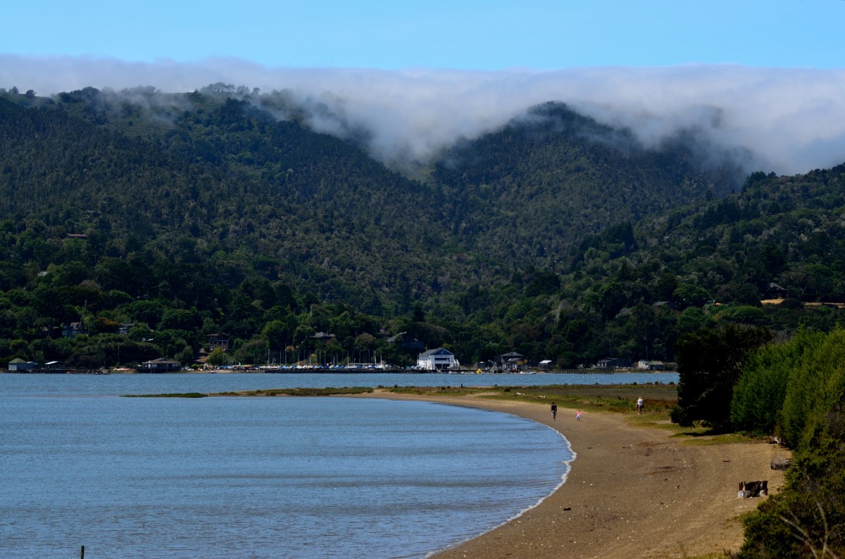 Chicken Ranch Beach in Inverness, CA California Beaches