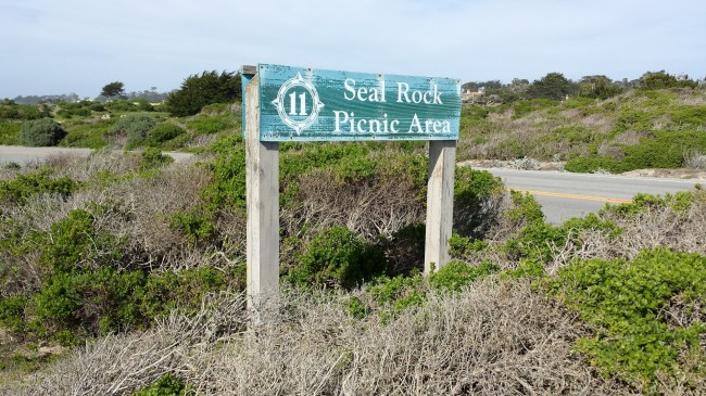 Seal Rock Creek Beach