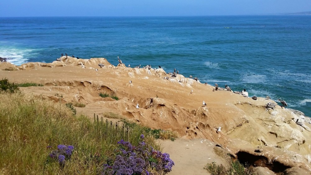 La Jolla Caves Beach