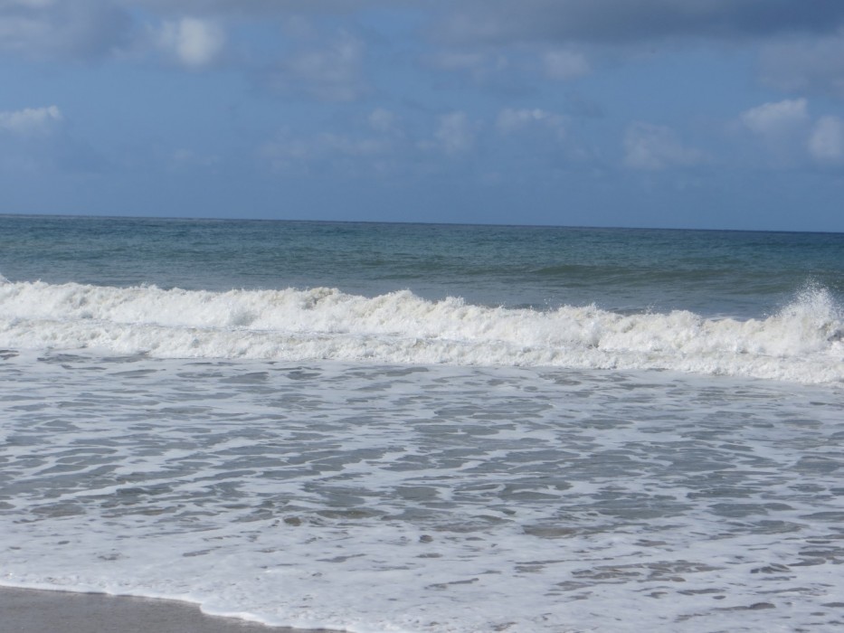 Are Dogs Allowed At San Clemente State Beach