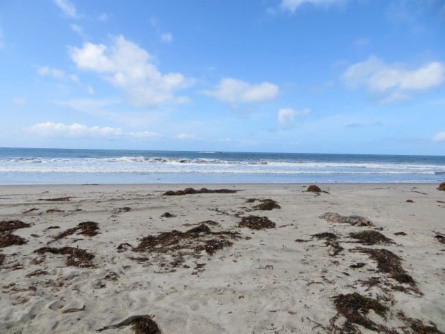 Riviera Beach San Clemente CA California Beaches