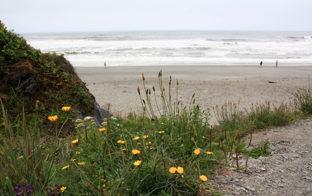 Agate Beach at Sue-meg State Park