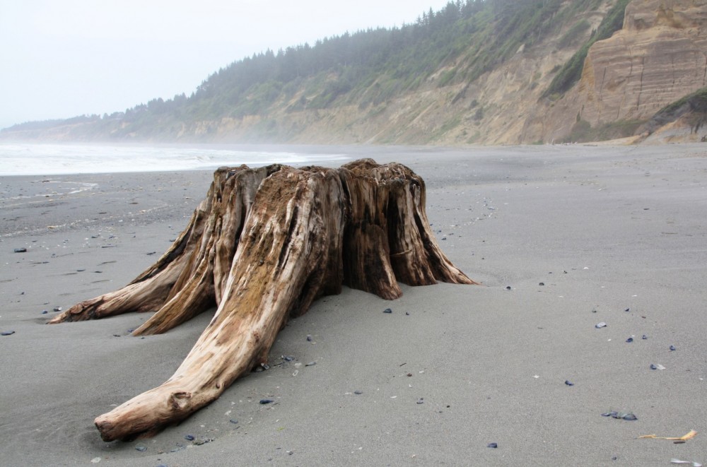 Agate Beach at Sue-meg State Park