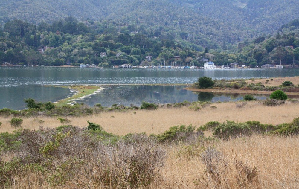 Alan Sieroty Beach at Millerton Point