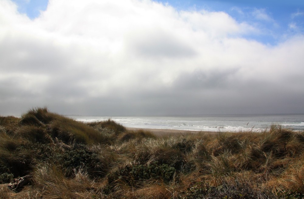 Alder Creek Beach