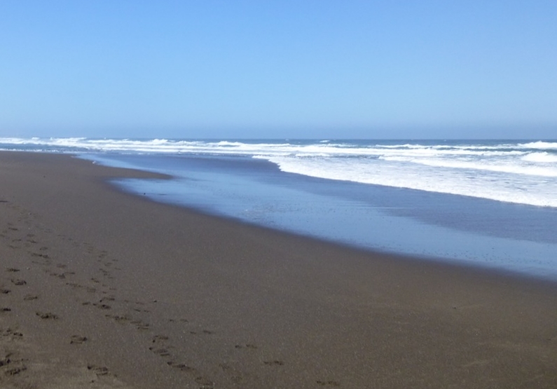 Alder Creek Beach