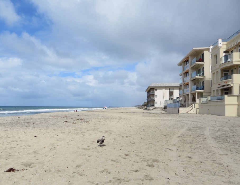 Carlsbad City Beach in Carlsbad, CA California Beaches