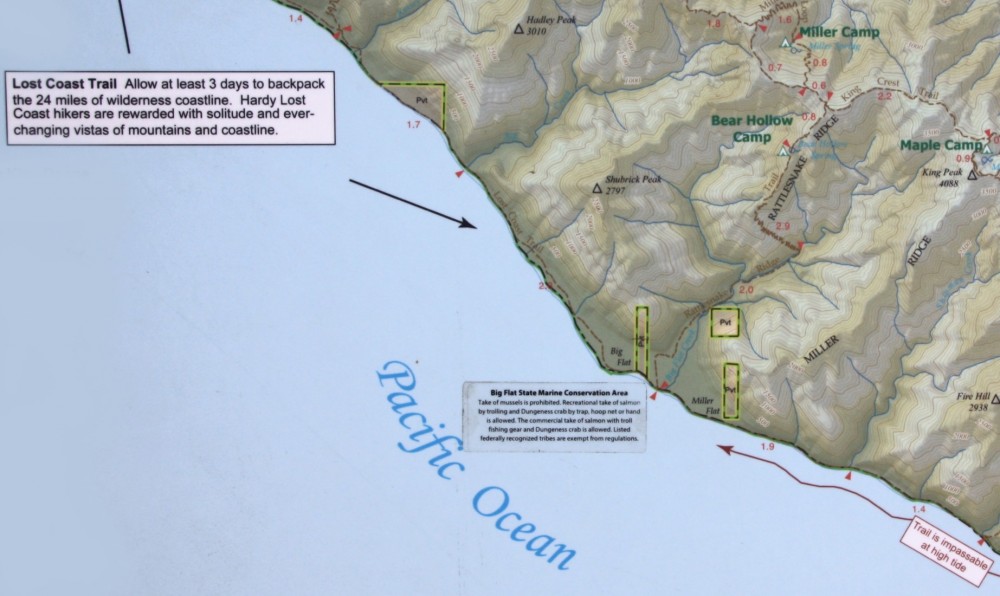 Big Flat on the Lost Coast Trail in Honeydew, CA California Beaches