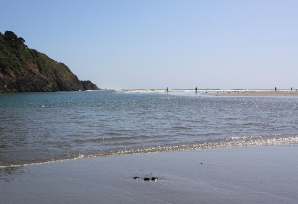 Big River Beach, Mendocino, CA California Beaches