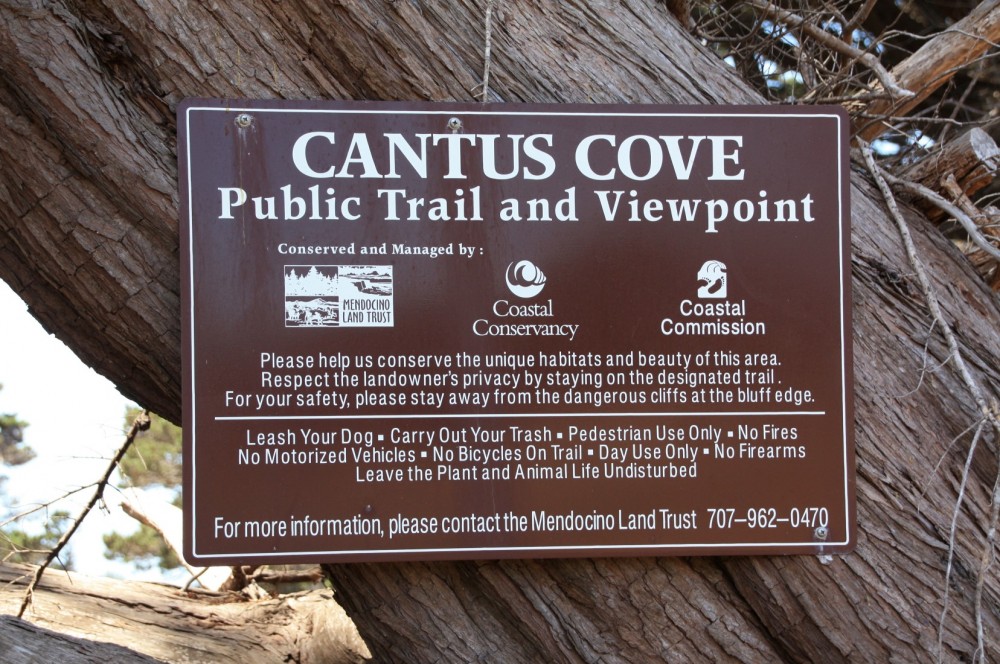 Cantus Cove