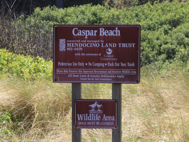 Caspar State Beach