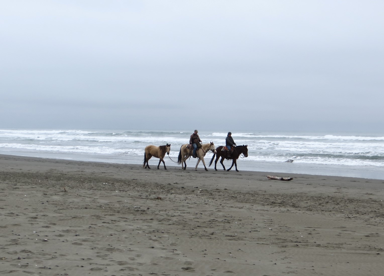 Clam Beach County Park, McKinleyville, CA California Beaches