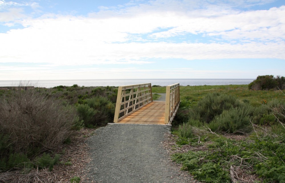 Coon Creek Beach – Montana de Oro State Park