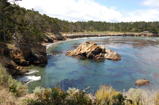 Point Lobos SNR – Whalers Cove