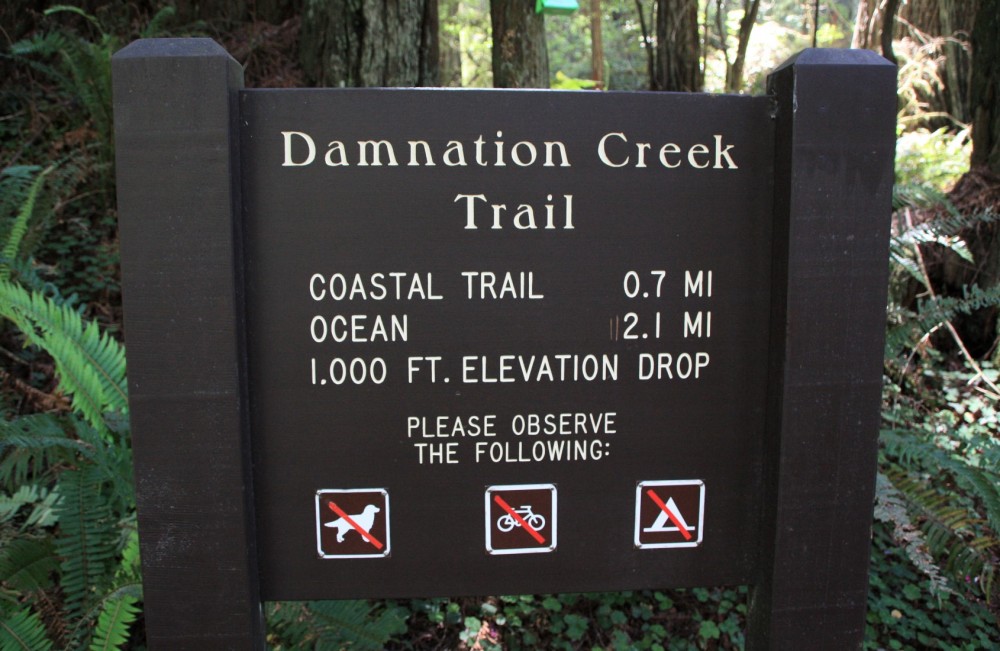 Damnation Creek Trail Beach