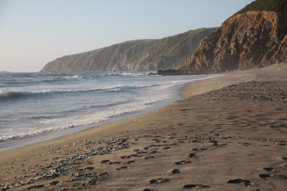 Driftwood Beach, Inverness, CA California Beaches