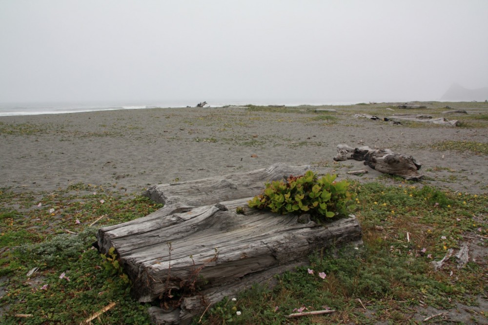 Dry Lagoon Beach