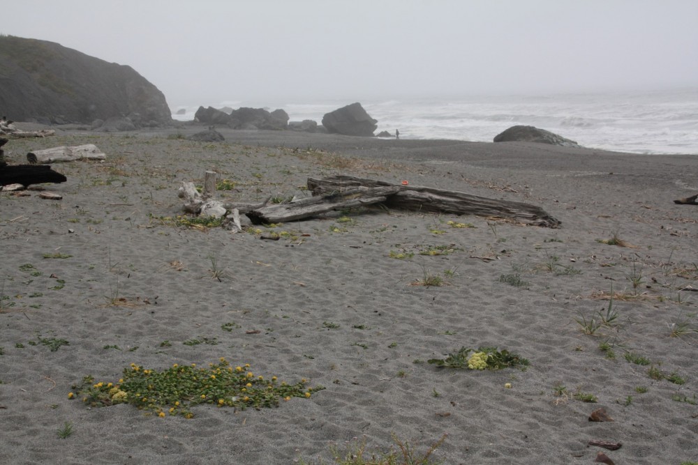 Dry Lagoon Beach