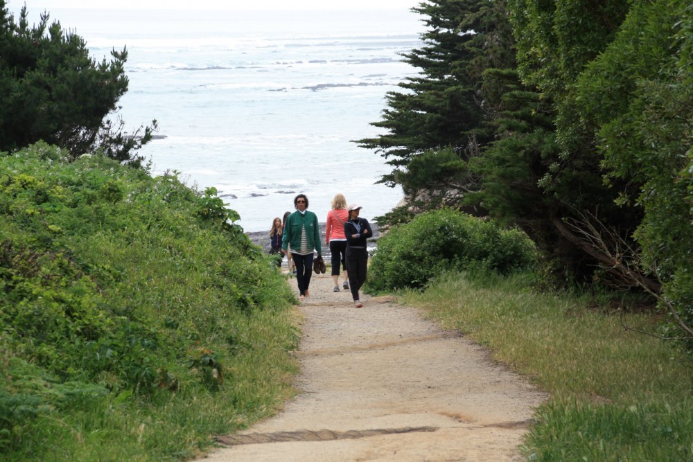 Duxbury Reef at Agate Beach County Park