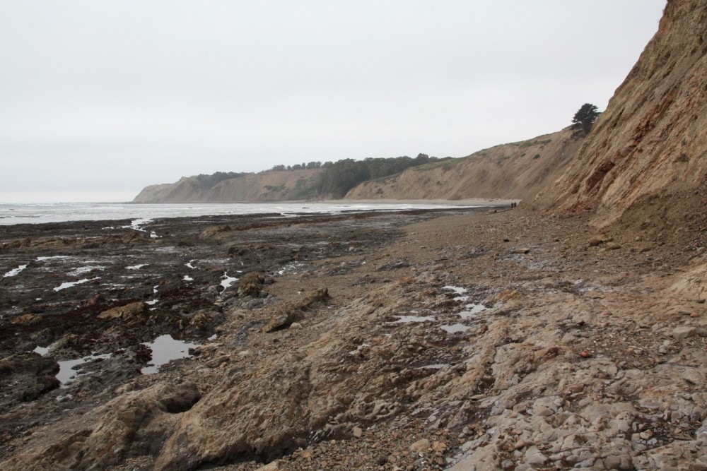 Duxbury Reef at Agate Beach County Park