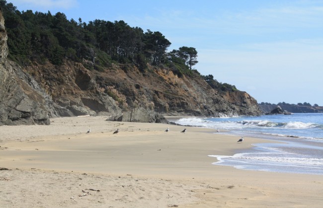 Fish Rock Beach at Anchor Bay Campground in Gualala, CA - California