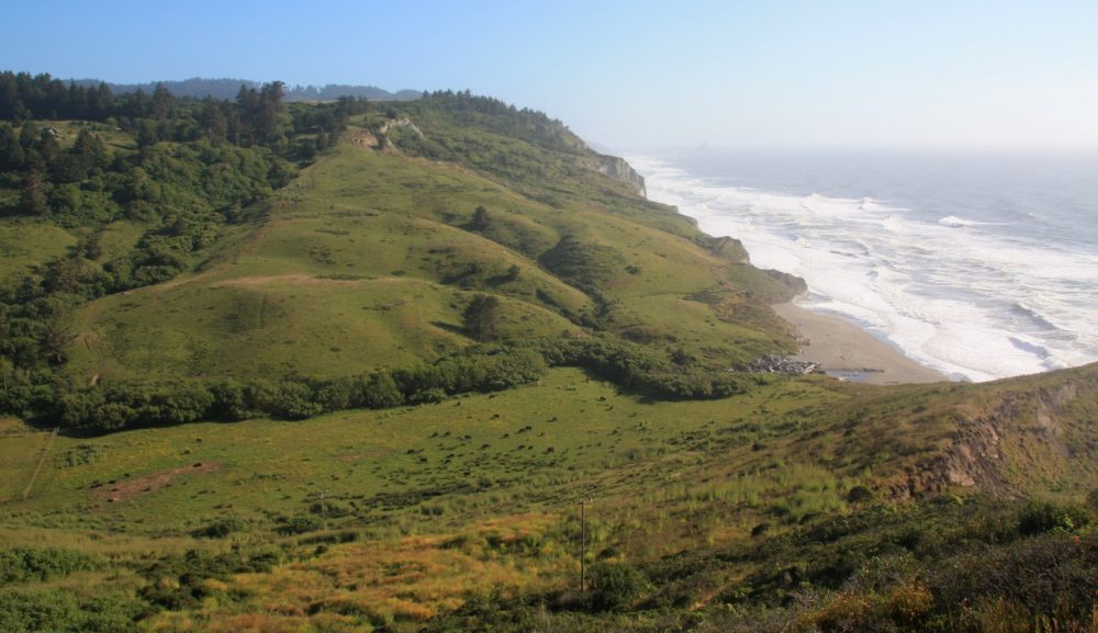 Fleener Creek Beach Ferndale Ca California Beaches