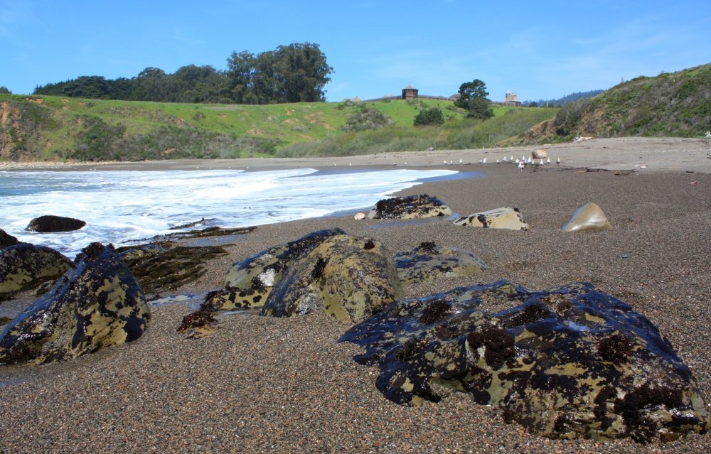 Sandy Cove Beach at Fort Ross