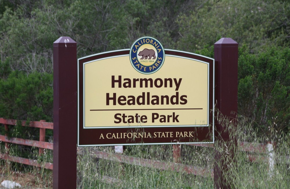 Harmony Headlands State Park