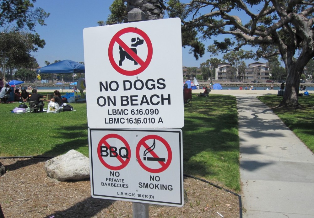 Does Mother Beach Allow Dogs