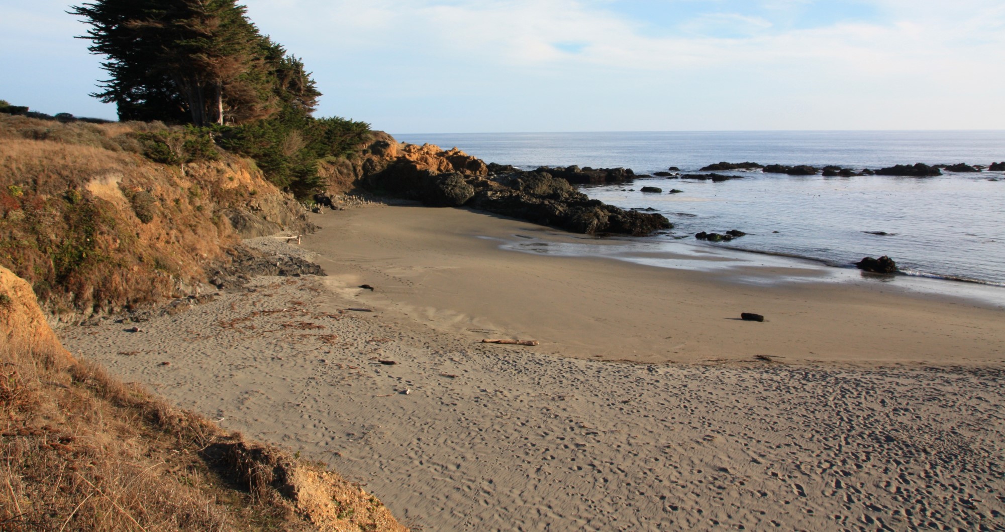 Shell Beach in Sea Ranch, CA California Beaches