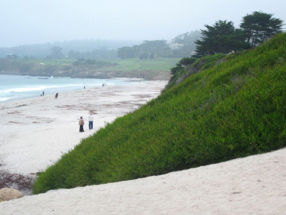Carmel City Beach in Carmel, CA California Beaches