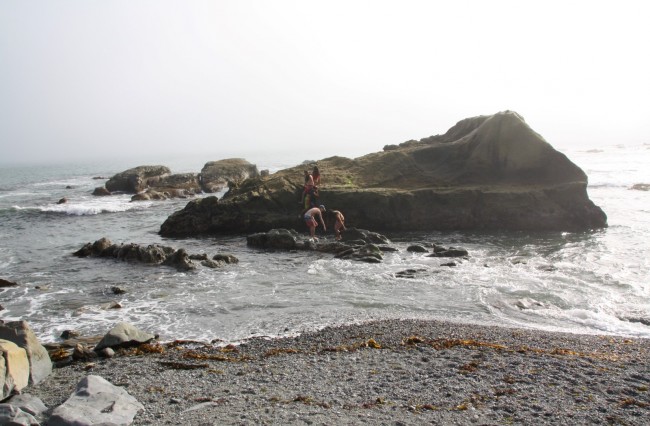 Dana Point Headlands Beach Dana Point CA California Beaches