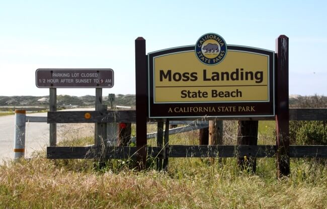 Moss Landing State Beach