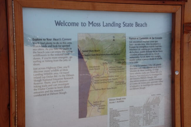 Moss Landing State Beach