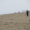 Huntington Dog Beach