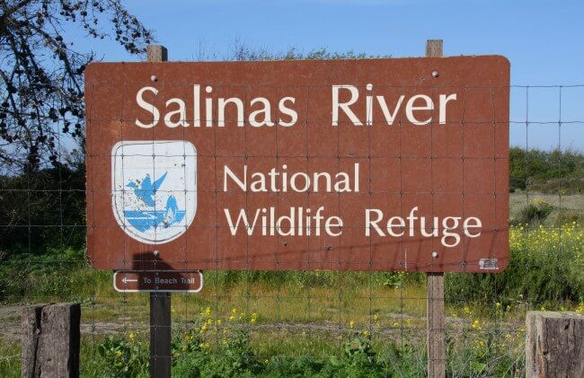 Salinas River National Wildlife Refuge