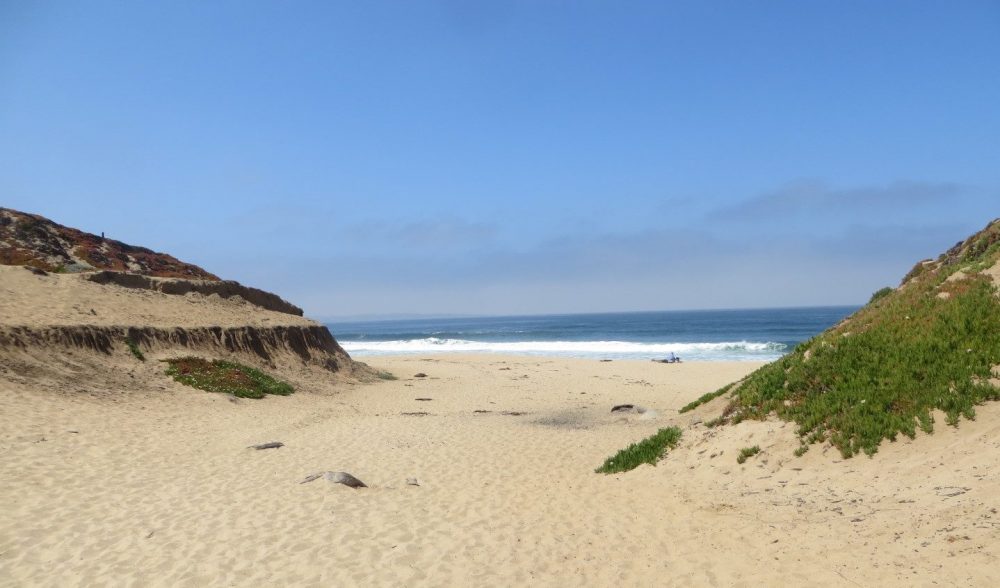 Fort Ord Dunes State Park Beach