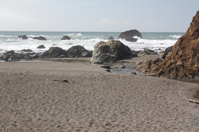 Scotty Creek Beach, Bodega Bay, CA - California Beaches