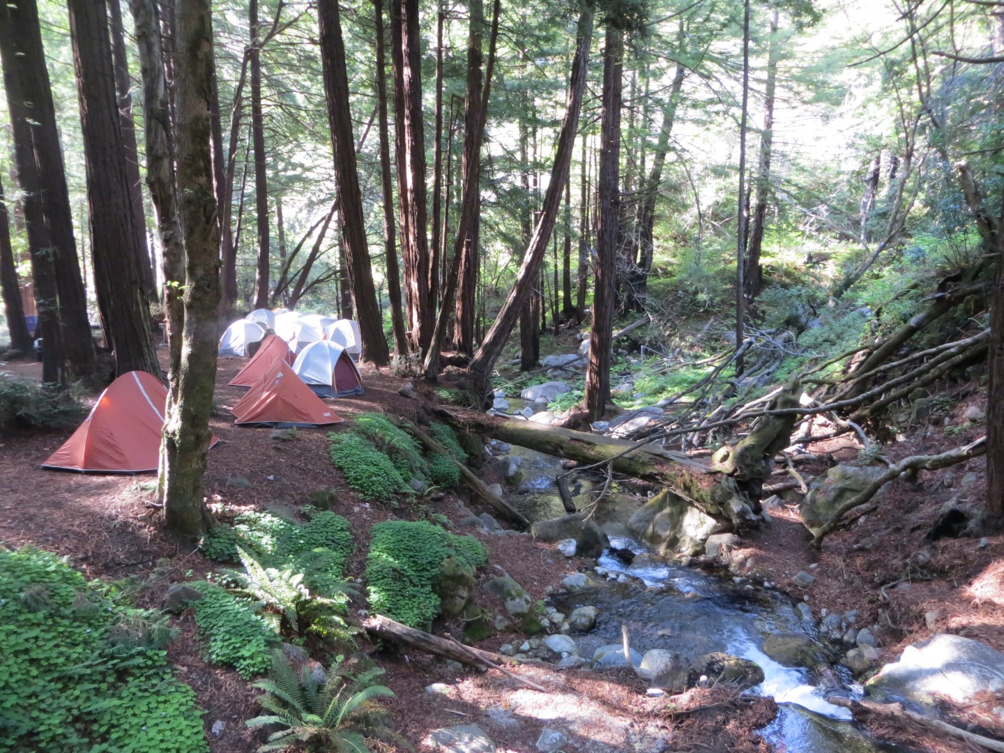 Unique Places to Stay in Big Sur