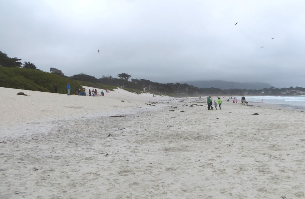 Carmel City Beach in Carmel, CA California Beaches