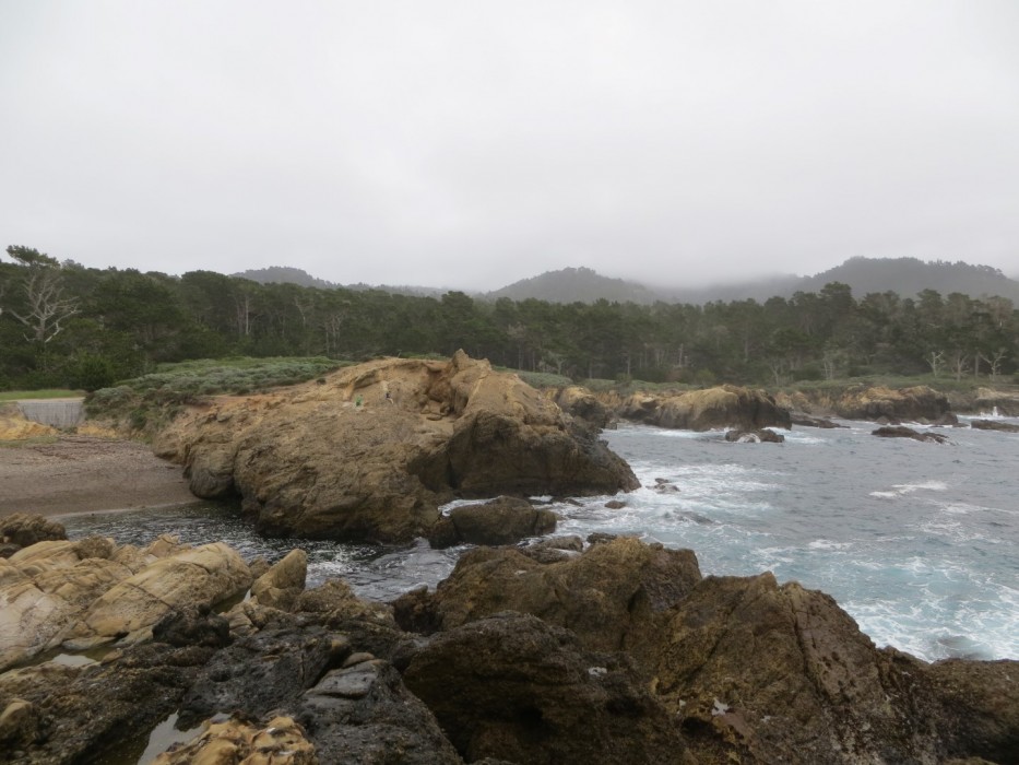 Point Lobos SNR – Weston Beach