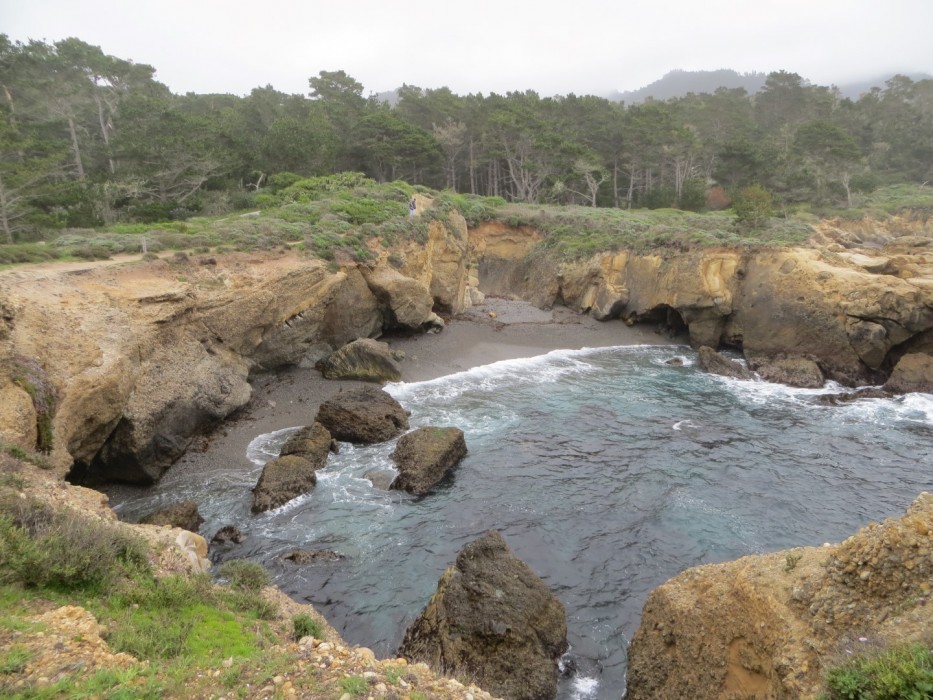 Point Lobos SNR – Weston Beach