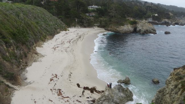 Point Lobos SNR – Gibson Beach