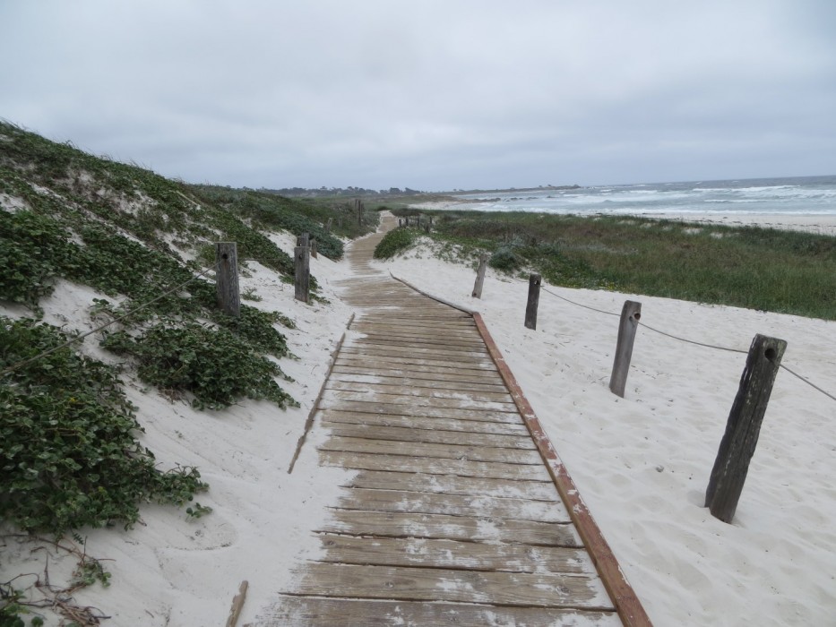 Spanish Bay Beach