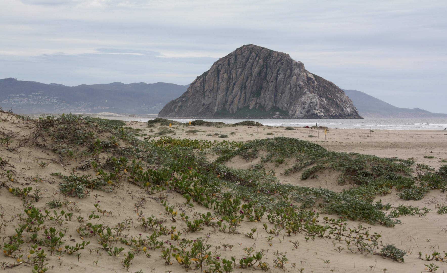 Morro Strand State Beach Morro Bay CA California Beaches
