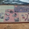 Cabrillo National Monument